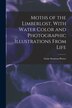 Moths of the Limberlost With Water Color and Photographic Illustrations From Life by Gene Stratton-Porter, Paperback | Indigo Chapters