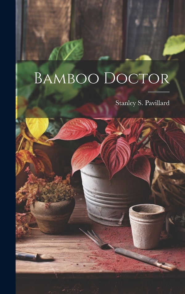 Bamboo Doctor by Stanley S Pavillard, Hardcover | Indigo Chapters