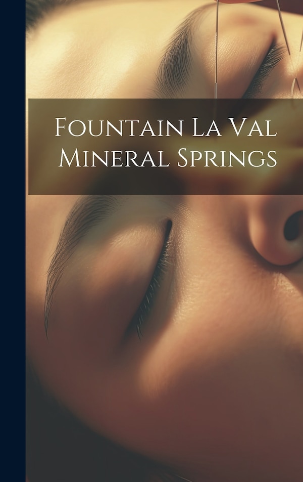 Fountain La Val Mineral Springs by Anonymous, Hardcover | Indigo Chapters