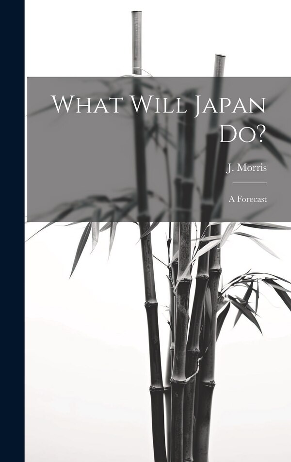 What Will Japan Do? by J Morris, Hardcover | Indigo Chapters