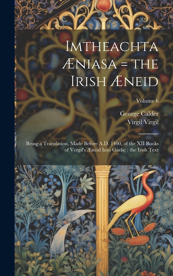 Imtheachta Æniasa = the Irish Æneid by George Calder, Hardcover | Indigo Chapters