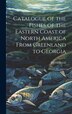 Catalogue of the Fishes of the Eastern Coast of North America From Greenland to Georgia by Theodore Gill, Hardcover | Indigo Chapters