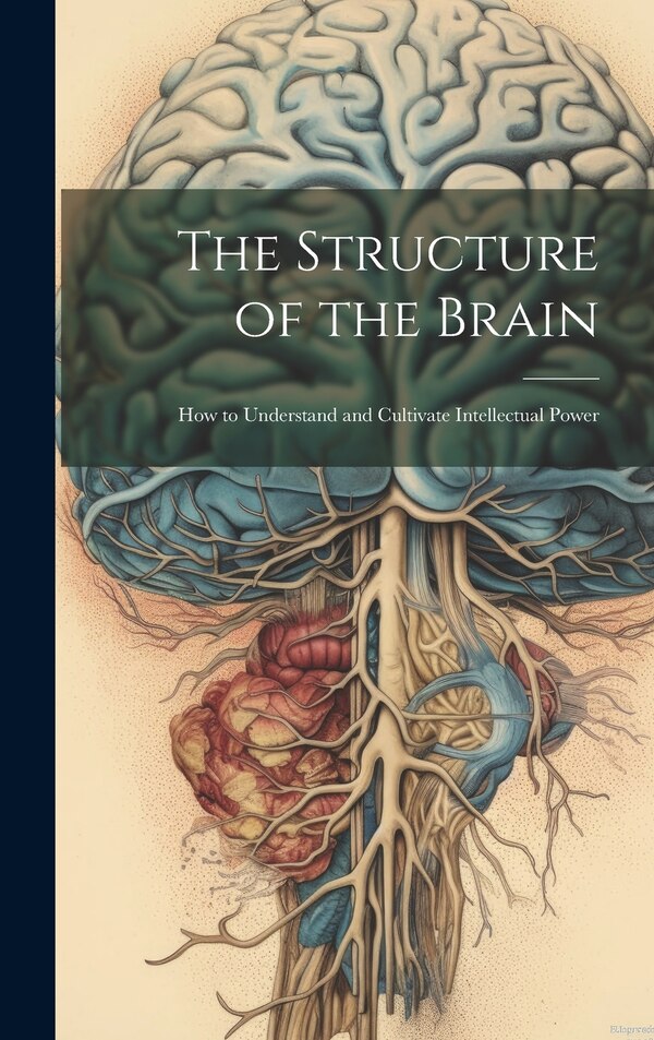 The Structure of the Brain by Anonymous Anonymous, Hardcover | Indigo Chapters