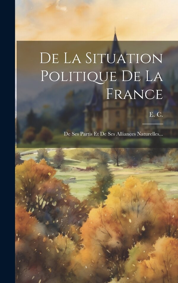 De La Situation Politique De La France by E C, Hardcover | Indigo Chapters