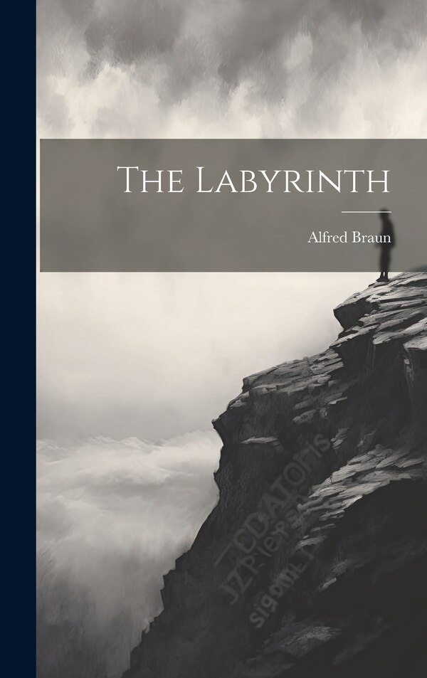 The Labyrinth by Alfred Braun, Hardcover | Indigo Chapters