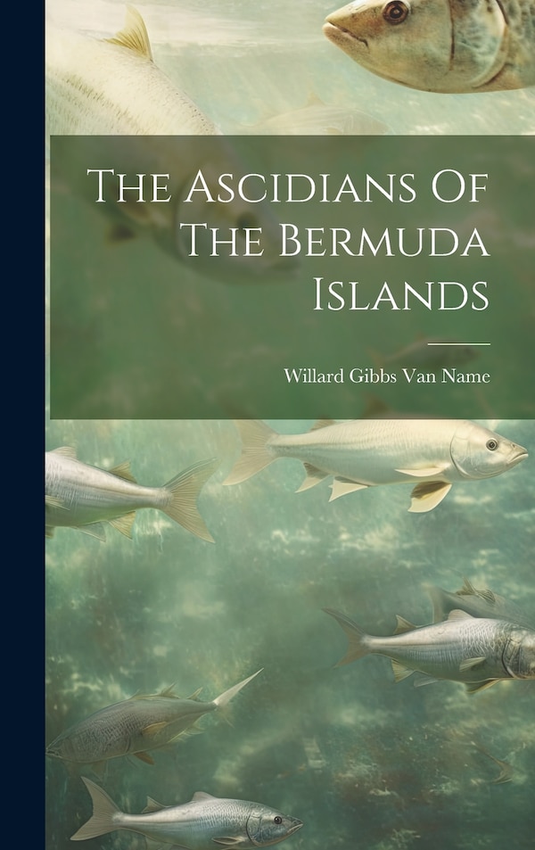 The Ascidians Of The Bermuda Islands by Willard Gibbs Van Name, Hardcover | Indigo Chapters