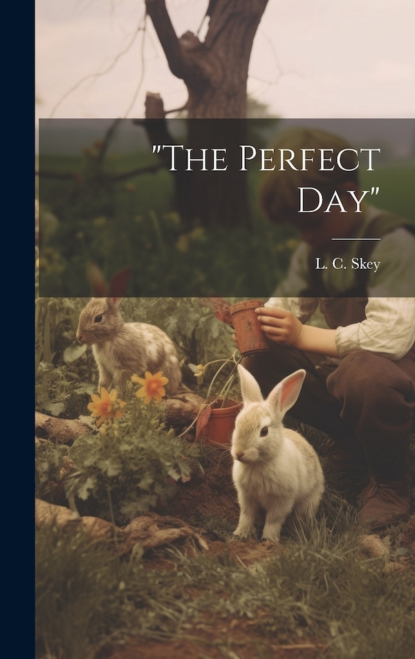 The Perfect Day by L C Skey, Hardcover | Indigo Chapters