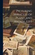 Picturing Miracles of Plant and Animal Life by Arthur C Pillsbury, Hardcover | Indigo Chapters