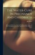 The Water-cure In Pregnancy And Childbirth by Joel Shew, Hardcover | Indigo Chapters