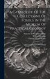 A Catalogue Of The Collections Of Fossils In The Museum Of Practical Geology by Robert Etheridge, Hardcover | Indigo Chapters