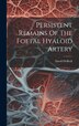 Persistent Remains Of The Foetal Hyaloid Artery by David DeBeck, Hardcover | Indigo Chapters