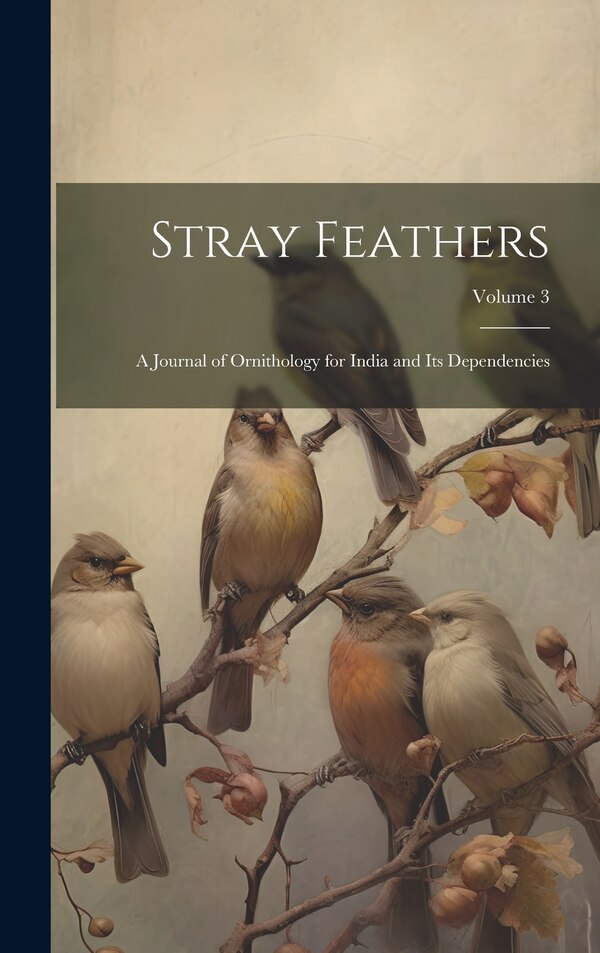 Stray Feathers by Anonymous, Hardcover | Indigo Chapters
