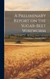 A Preliminary Report on the Sugar-Beet Wireworm by U S Government Printing Office, Hardcover | Indigo Chapters