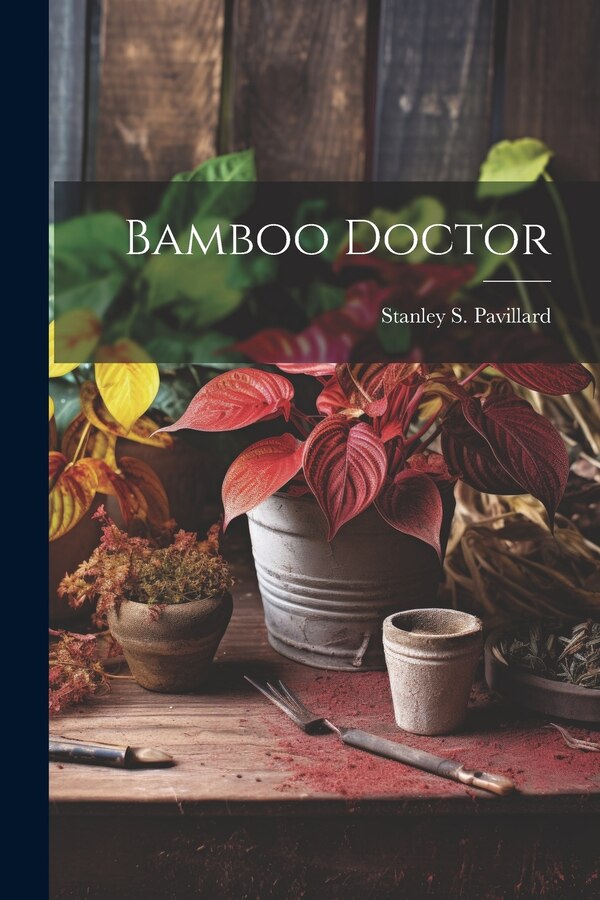 Bamboo Doctor by Stanley S Pavillard, Paperback | Indigo Chapters