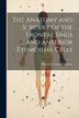 The Anatomy and Surgery of the Frontal Sinus and Anterior Ethmoidal Cells by Howard Augustus Lothrop, Paperback | Indigo Chapters