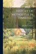 History Of Methodism In Tennessee; Volume 1 by John Berry M'Ferrin, Paperback | Indigo Chapters