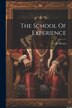 The School Of Experience by S M Brown, Paperback | Indigo Chapters