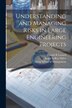 Understanding and Managing Risks in Large Engineering Projects by Donald R Lessard, Paperback | Indigo Chapters