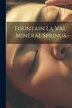 Fountain La Val Mineral Springs by Anonymous, Paperback | Indigo Chapters