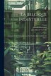 La Belgique Industrielle by Gressin-Dumoulin, Paperback | Indigo Chapters
