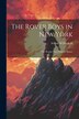 The Rover Boys in New York by Arthur M Winfield, Paperback | Indigo Chapters
