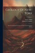 Geology Of New-york by William W Mather, Paperback | Indigo Chapters
