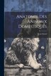 Anatomie Des Animaux Domestiques by Jean Girard, Paperback | Indigo Chapters