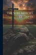 The Sure Mercies Of David by Anna Shipton, Paperback | Indigo Chapters
