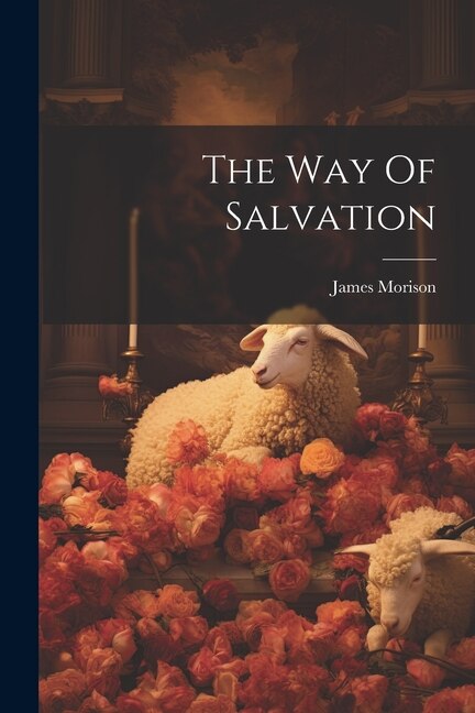 The Way Of Salvation by James Morison, Paperback | Indigo Chapters
