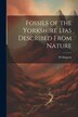 Fossils of the Yorkshire Lias Described From Nature by M Simpson, Paperback | Indigo Chapters