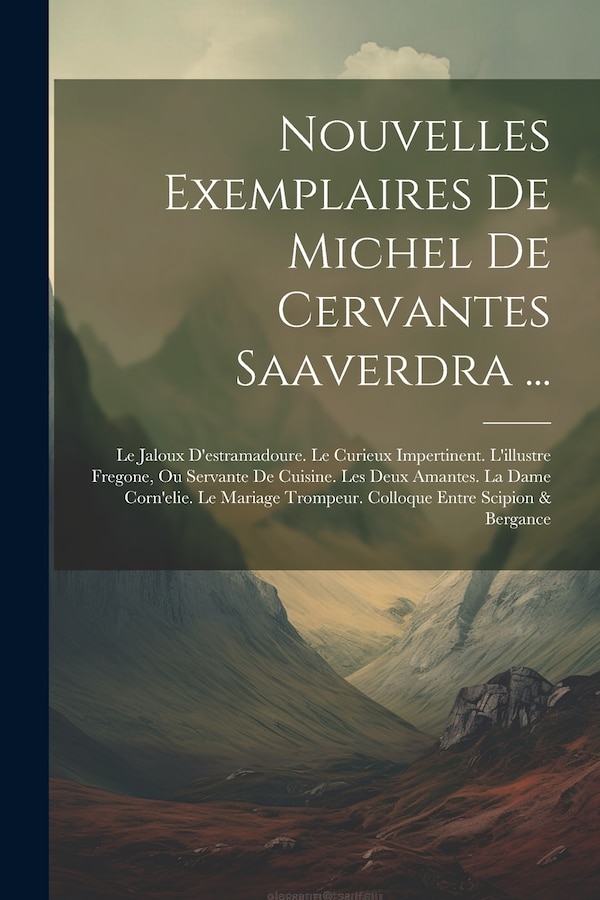 Nouvelles Exemplaires De Michel De Cervantes Saaverdra . by Anonymous, Paperback | Indigo Chapters