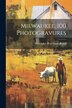 Milwaukee. 100 Photogravures by Milwaukee Real Estate Board, Paperback | Indigo Chapters