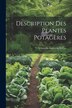 Description Des Plantes Potagères by Vilmorin-andrieux Et Cie, Paperback | Indigo Chapters