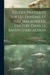 Études Pratiques Sur Les Ennemis Et Les Maladies De L'huître Dans Le Bassin D'arcachon by Montaugé, Paperback | Indigo Chapters
