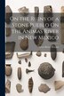 On the Ruins of a Stone Pueblo On the Animas River in New Mexico by Lewis Henry Morgan, Paperback | Indigo Chapters