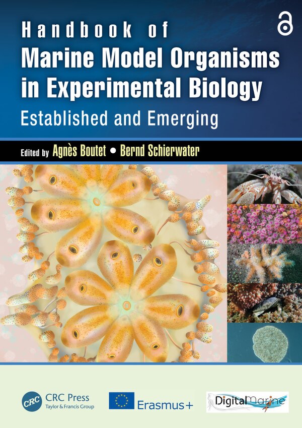 Handbook of Marine Model Organisms in Experimental Biology by Agnes Boutet, Paperback | Indigo Chapters