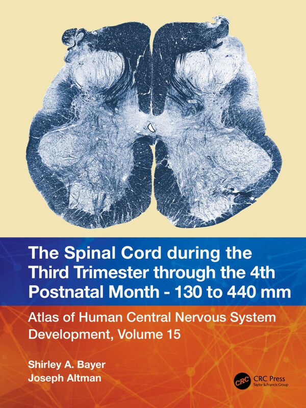 The Spinal Cord during the Middle Second Trimester through the 4th Postnatal Month 130- to 440-mm Crown-Rump Lengths by Shirley A. Bayer