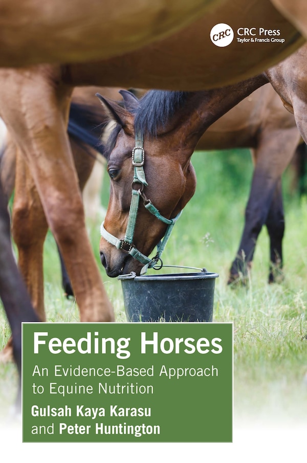 Feeding Horses by Gulsah Kaya Karasu, Paperback | Indigo Chapters