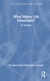 What Makes Life Meaningful? by Thaddeus Metz, Hardcover | Indigo Chapters