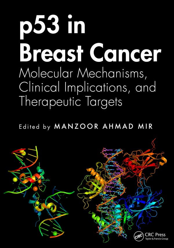 p53 in Breast Cancer by Manzoor Ahmad Mir, Hardcover | Indigo Chapters