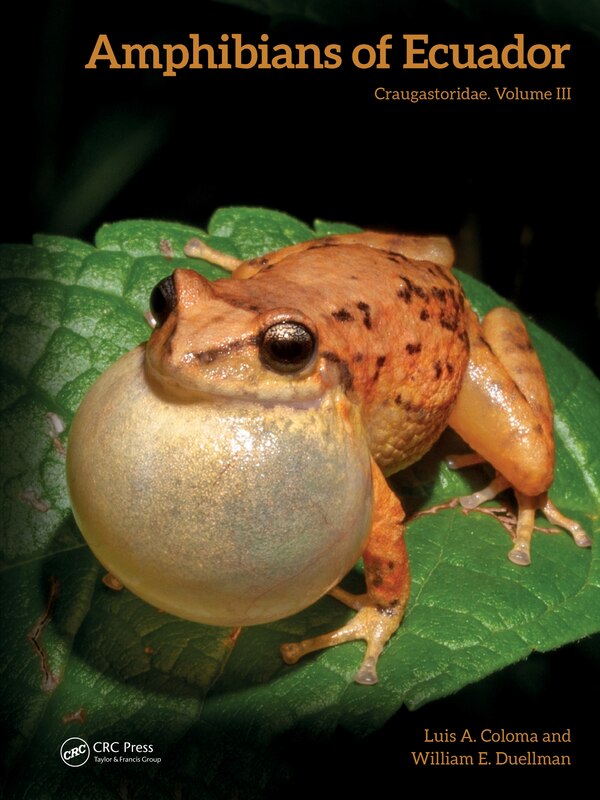Amphibians of Ecuador by Luis A. Coloma, Hardcover | Indigo Chapters