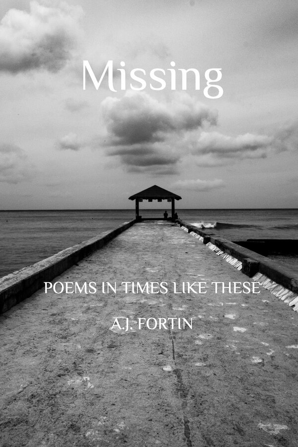 Missing by Aj Fortin, Paperback | Indigo Chapters