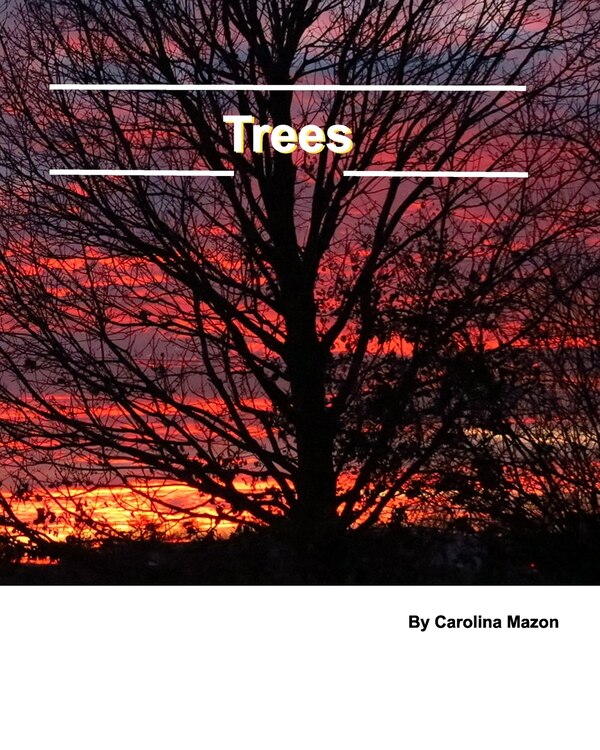 Trees 20x25 by Carolina Mazon, Paperback | Indigo Chapters