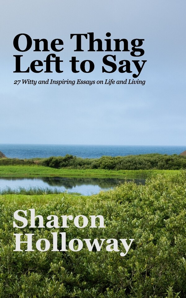 One Thing Left to Say by Sharon Holloway, Paperback | Indigo Chapters