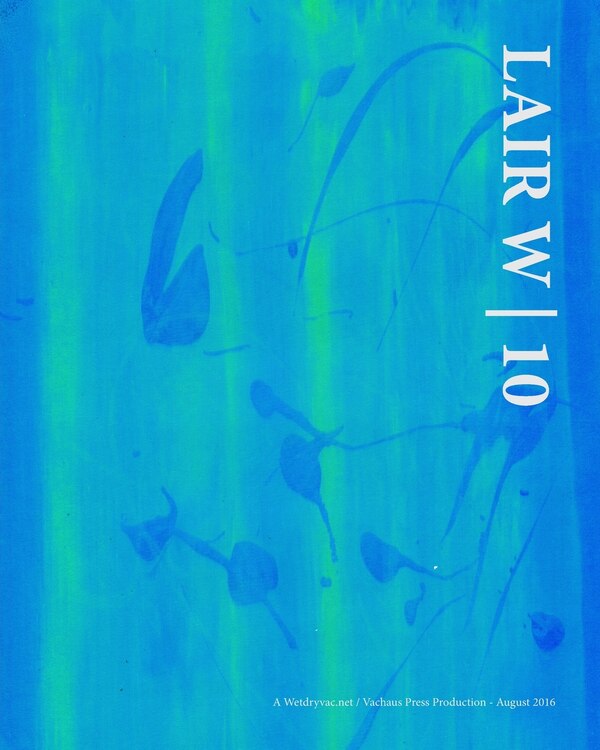Lair W 10 by Wetdryvac Wetdryvac, Paperback | Indigo Chapters
