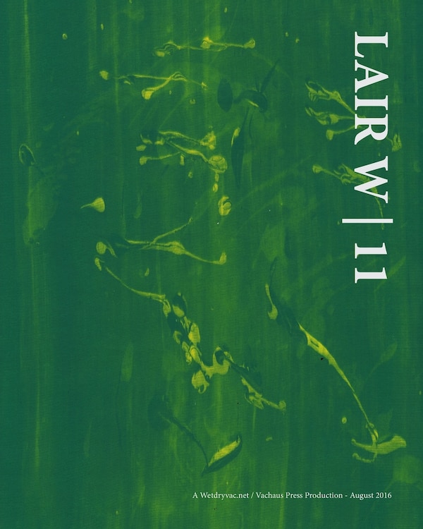 Lair W 11 by Wetdryvac Wetdryvac, Paperback | Indigo Chapters
