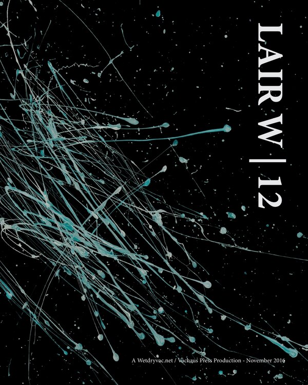 Lair W 12 by Wetdryvac Wetdryvac, Paperback | Indigo Chapters