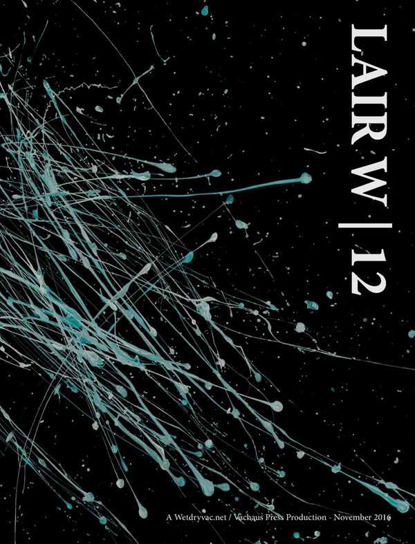 Lair W 12 by Wetdryvac Wetdryvac, Hardcover | Indigo Chapters