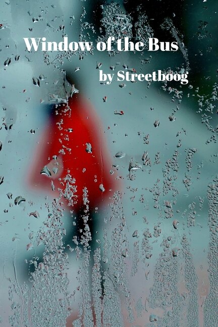 Window of the Bus by Streetboog Streetboog, Paperback | Indigo Chapters