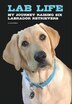 Lab Life by Dan McMillen, Hardcover | Indigo Chapters